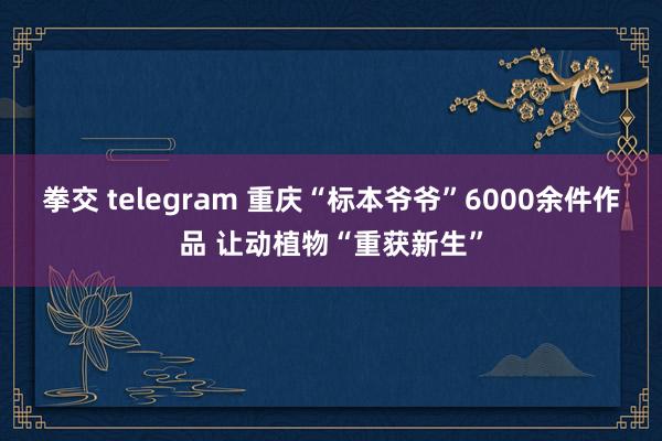 拳交 telegram 重庆“标本爷爷”6000余件作品 让动植物“重获新生”